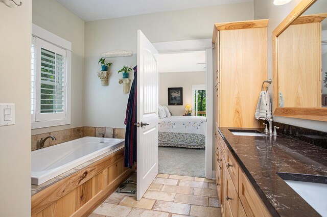 5091 E High Tower Lake Rd, Hesperia, MI 49421 - ensuite bathroom with a bath, connected bathroom, a sink, and a wealth of natural light