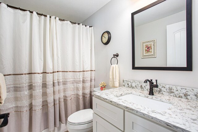 5091 E High Tower Lake Rd, Hesperia, MI 49421 - bathroom with curtained shower, toilet, and vanity