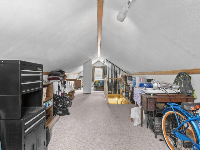 817 E Loomis St, Ludington, MI 49431 - bonus room featuring lofted ceiling, a textured ceiling, and carpet floors