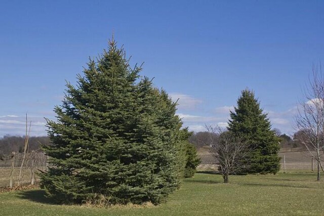 25544 Gage St, Dowagiac, MI 49047 - view of green lawn