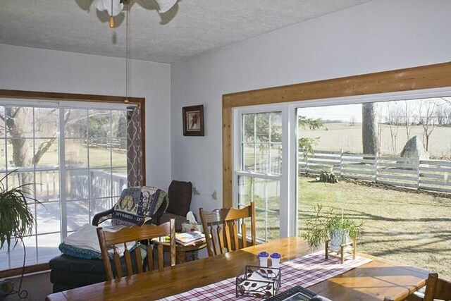 25544 Gage St, Dowagiac, MI 49047 - dining space featuring ceiling fan and a textured ceiling