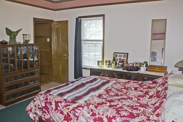 25544 Gage St, Dowagiac, MI 49047 - view of bedroom