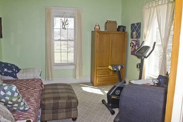 25544 Gage St, Dowagiac, MI 49047 - view of exercise room
