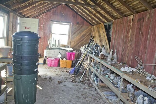 25544 Gage St, Dowagiac, MI 49047 - unfinished attic featuring healthy amount of natural light
