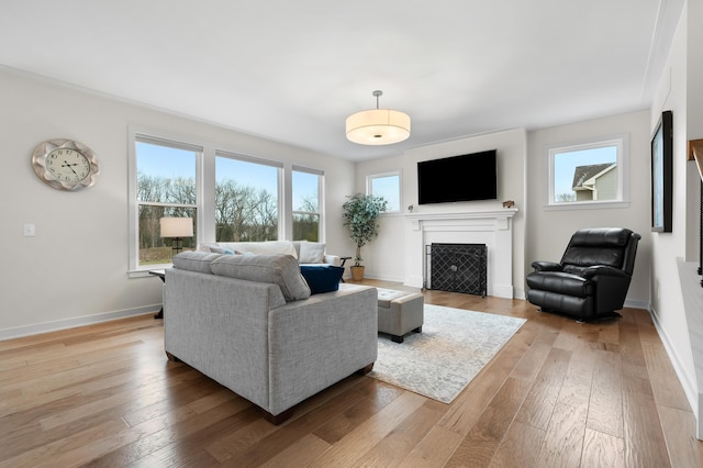 8114 Turning Stone, Kalamazoo, MI 49009 - living area featuring a fireplace, a healthy amount of sunlight, and light wood-style floors