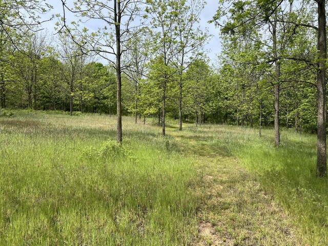 10827 N 12th St, Plainwell, MI 49080 - photo 58
