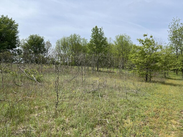 10827 N 12th St, Plainwell, MI 49080 - photo 60