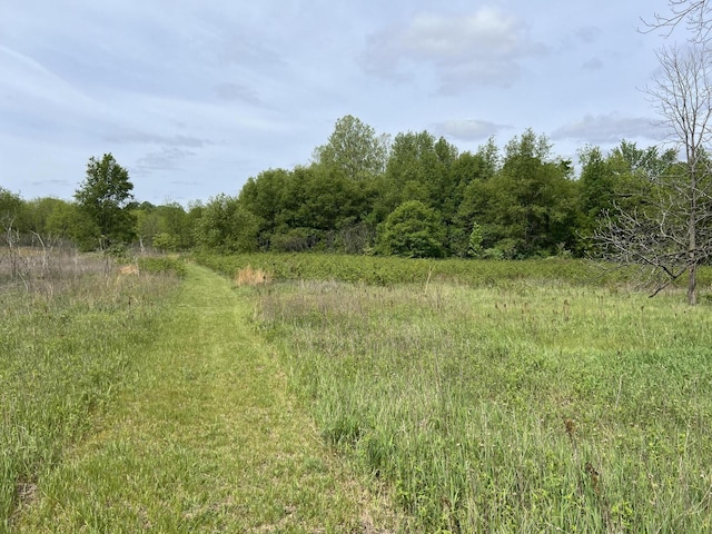 10827 N 12th St, Plainwell, MI 49080 - photo 57