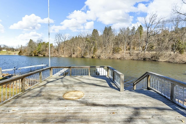 11262 Lemott Cir, Jerome, MI 49249 - view of dock featuring a water view and a forest view