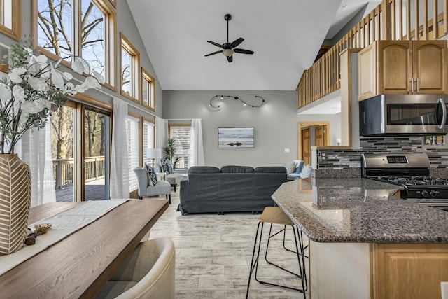 11262 Lemott Cir, Jerome, MI 49249 - kitchen with decorative backsplash, ceiling fan, stainless steel appliances, dark stone countertops, and open floor plan