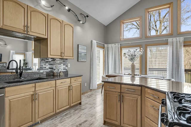 11262 Lemott Cir, Jerome, MI 49249 - kitchen featuring range with gas cooktop, dark stone countertops, a sink, and light brown cabinets