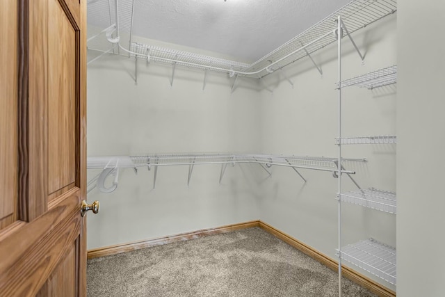 11262 Lemott Cir, Jerome, MI 49249 - spacious closet with carpet