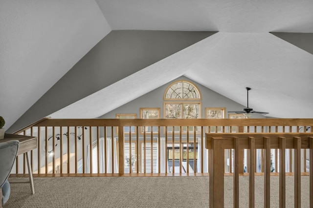 11262 Lemott Cir, Jerome, MI 49249 - hallway with lofted ceiling