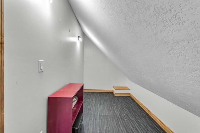 11262 Lemott Cir, Jerome, MI 49249 - additional living space with baseboards, lofted ceiling, and a textured ceiling