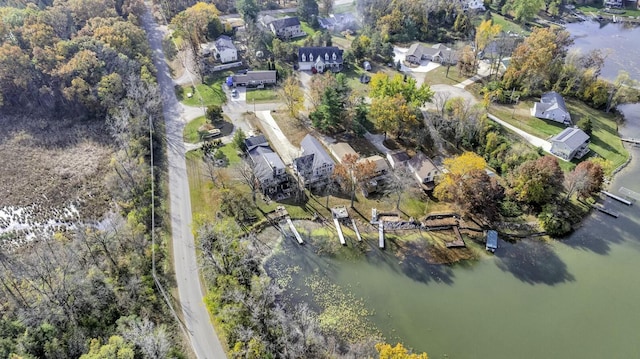 11262 Lemott Cir, Jerome, MI 49249 - birds eye view of property with a water view