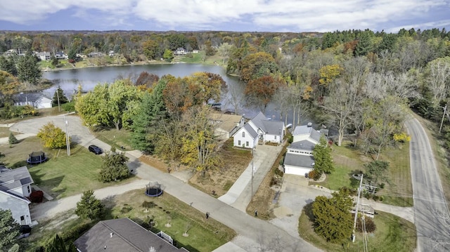 11262 Lemott Cir, Jerome, MI 49249 - bird's eye view with a water view and a wooded view