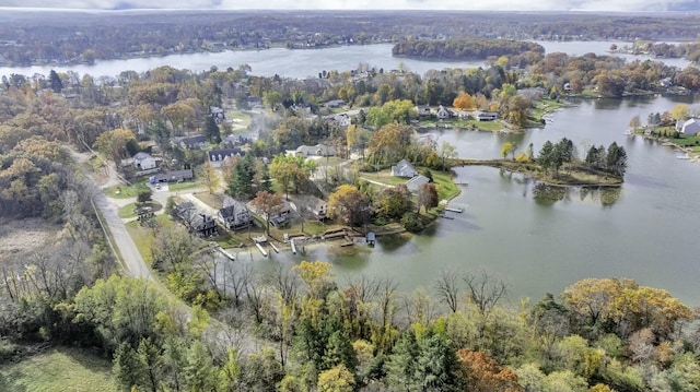 11262 Lemott Cir, Jerome, MI 49249 - aerial view featuring a water view