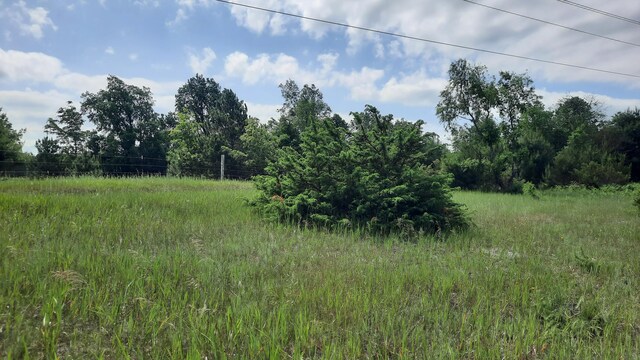 19.5ACRES 9 Mile Rd, Kaleva, MI 49645 - photo 5