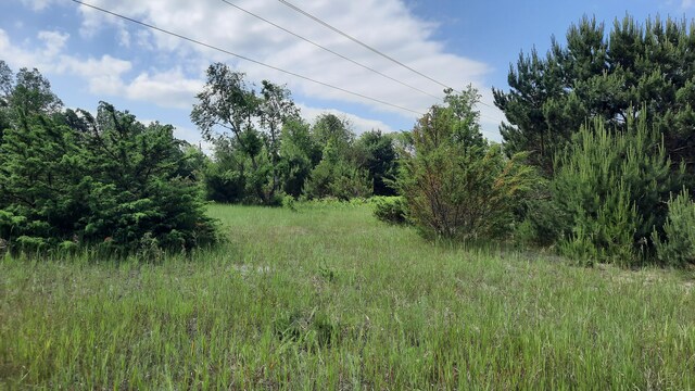 19.5ACRES 9 Mile Rd, Kaleva, MI 49645 - photo 6