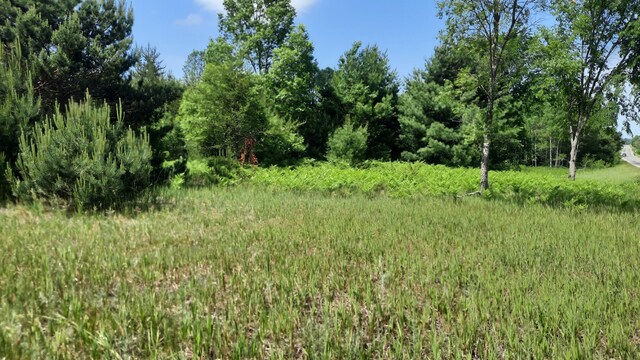 19.5ACRES 9 Mile Rd, Kaleva, MI 49645 - photo 7