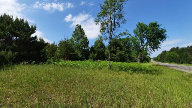 19.5ACRES 9 Mile Rd, Kaleva, MI 49645 - photo 8