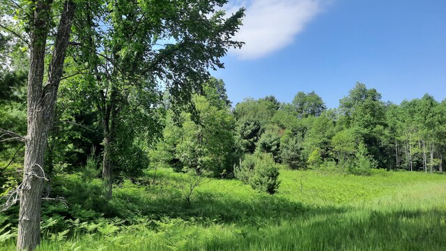 19.5ACRES 9 Mile Rd, Kaleva, MI 49645 - photo 1