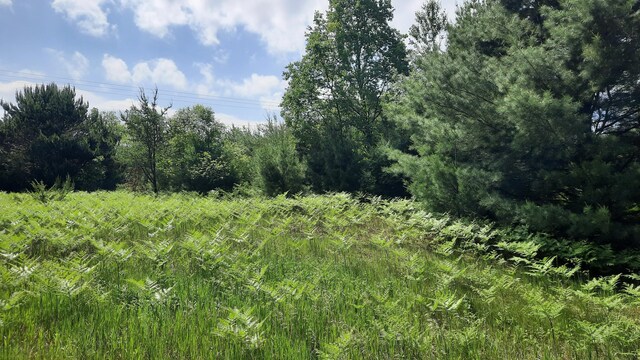 19.5ACRES 9 Mile Rd, Kaleva, MI 49645 - photo 2