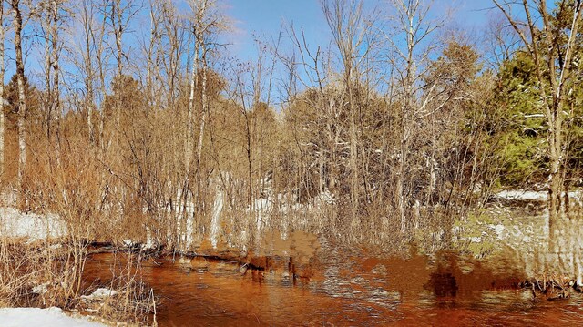 19.5ACRES 9 Mile Rd, Kaleva, MI 49645 - photo 3