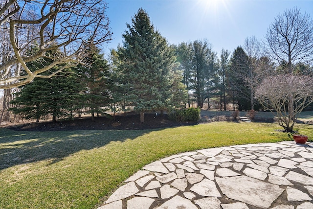 view of yard featuring a patio