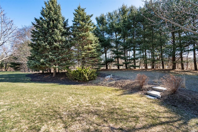 view of yard