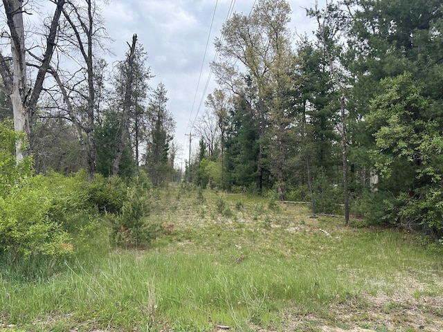 00 S Forman Rd, Idlewild, MI 49642