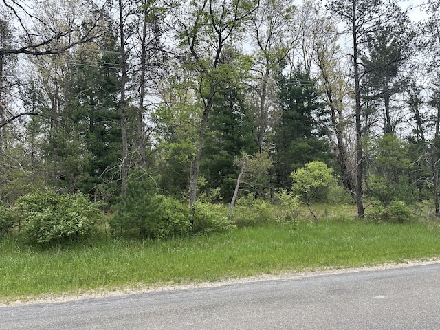 00 S Forman Rd, Idlewild, MI 49642