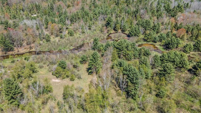 10652 N River Rd, Irons, MI 49644