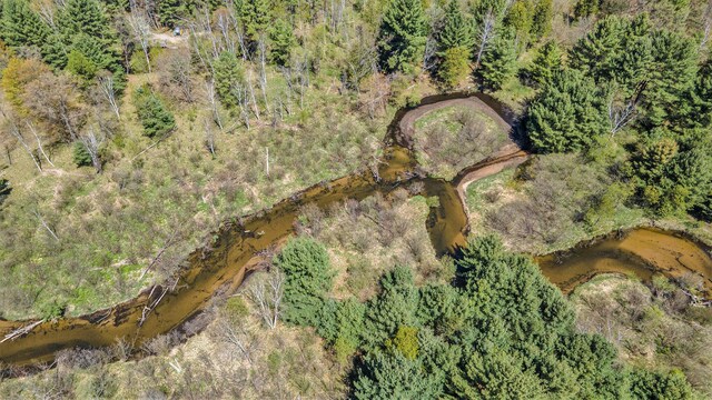10652 N River Rd, Irons, MI 49644