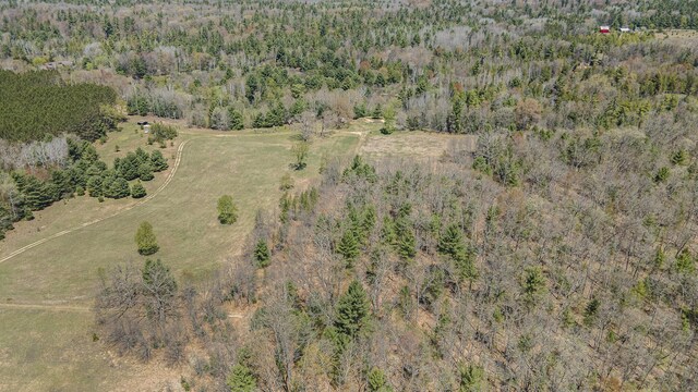 10652 N River Rd, Irons, MI 49644