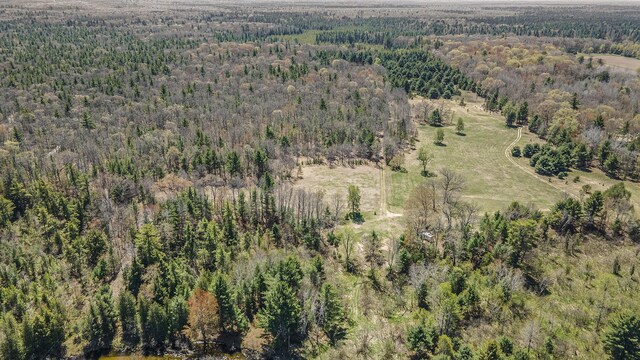 10652 N River Rd, Irons, MI 49644