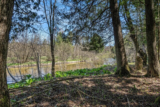 10652 N River Rd, Irons, MI 49644