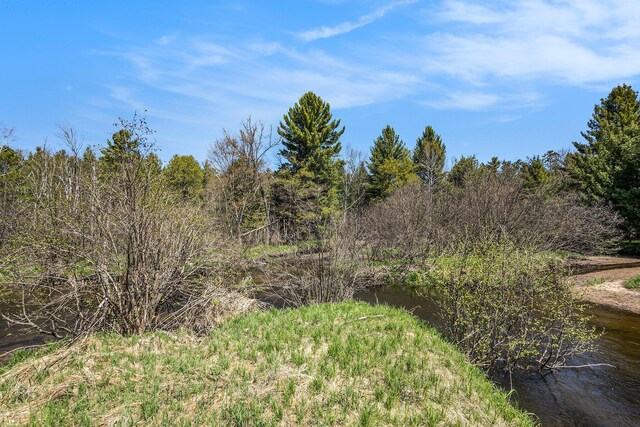10652 N River Rd, Irons, MI 49644