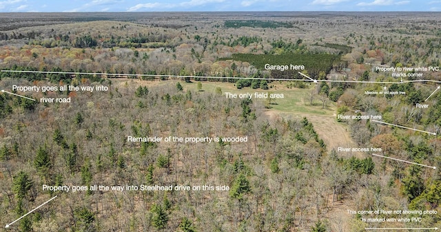 10652 N River Rd, Irons, MI 49644