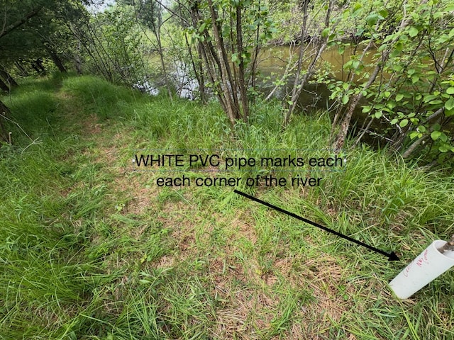 10652 N River Rd, Irons, MI 49644