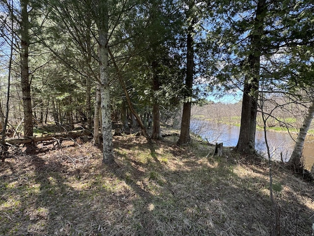 10652 N River Rd, Irons, MI 49644
