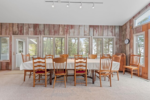 4103 Lake Shore Dr, New Buffalo, MI 49117 - carpeted dining area with rail lighting and wood walls