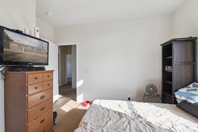 19372 M 140, South Haven, MI 49090 - bedroom with carpet