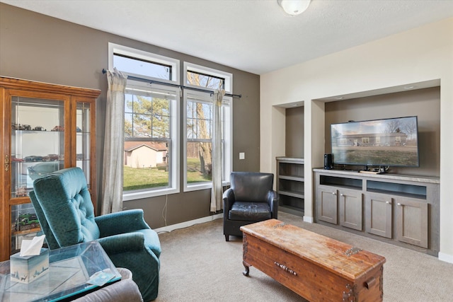 19372 M 140, South Haven, MI 49090 - living room featuring light carpet and baseboards