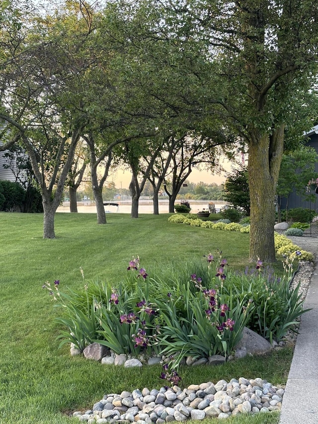 view of property's community featuring a lawn