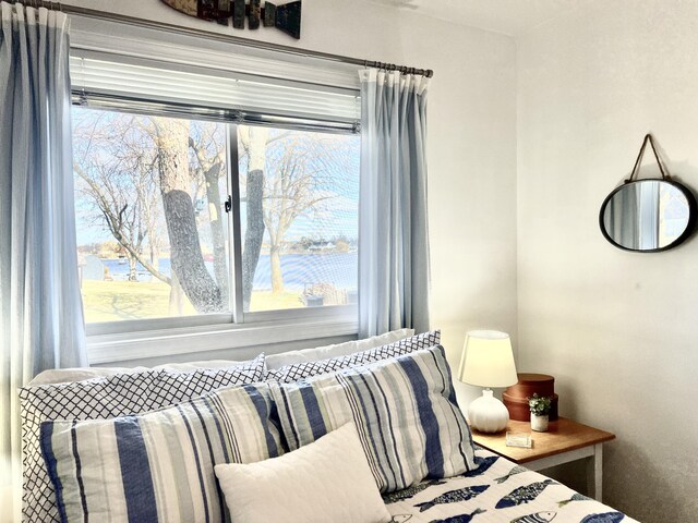 bedroom with multiple windows