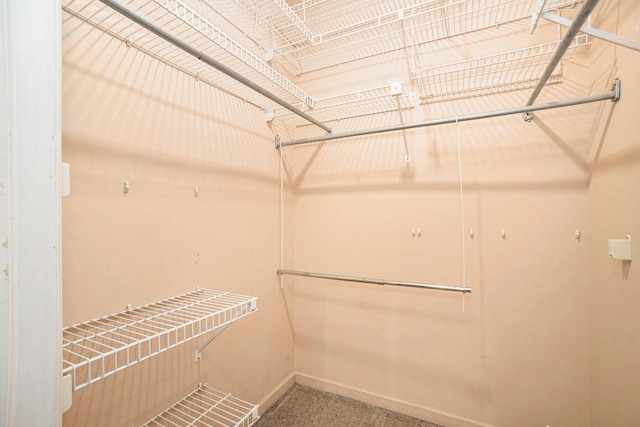 17650 Woodbridge Rd # 1, Spring Lake, MI 49456 - spacious closet with carpet floors