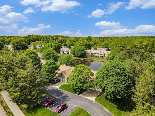 17650 Woodbridge Rd # 1, Spring Lake, MI 49456 - aerial view of a nearby body of water and a heavily wooded area