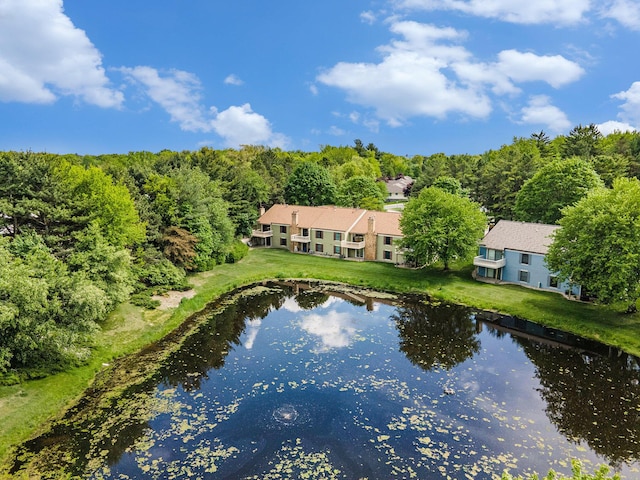 17650 Woodbridge Rd # 1, Spring Lake, MI 49456 - aerial view of property and surrounding area with a large body of water and a heavily wooded area