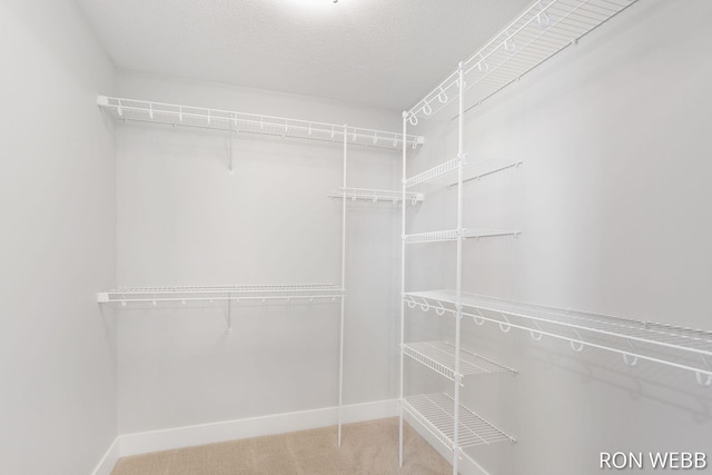 spacious closet with carpet flooring